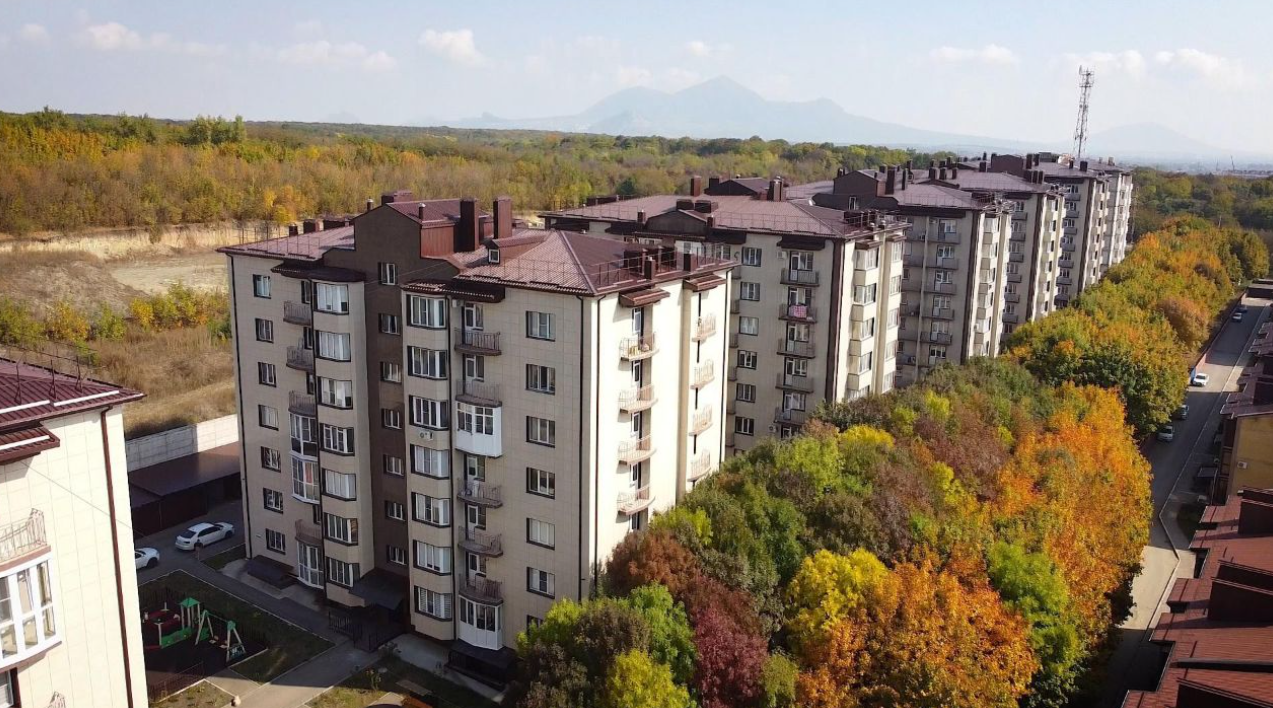 Кленовая роща